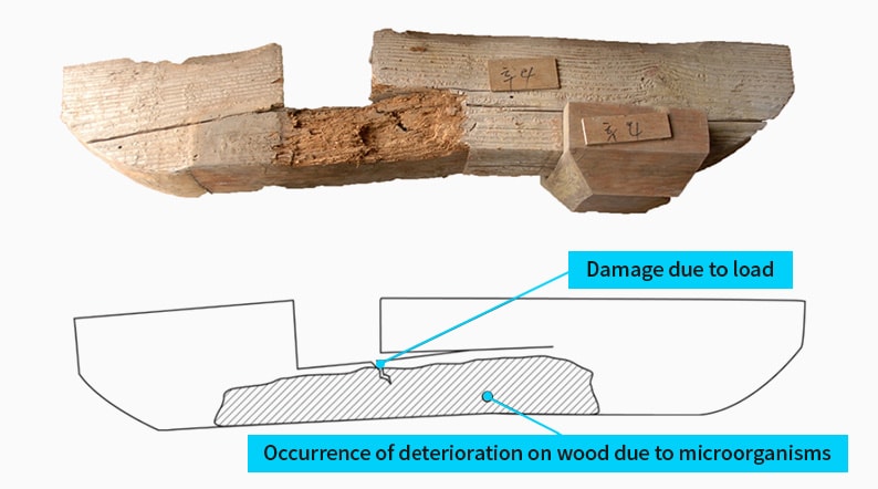 Damage due to load. Occurence of deterioration on wood due to microorganisms. <Restoration of Damaged Cheomcha Elements in Haetalmun of Dogapsa Temple>