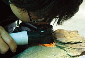 Visual observation of an exfoliated sample