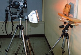 Thermographic image using an infrared halogen heater