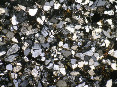 Results of observation via polarizing microscope