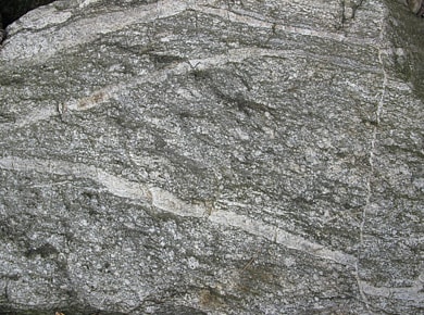 Metamorphic rock (gneiss)